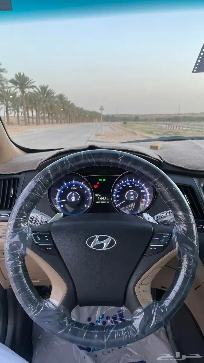 تم البيع 8