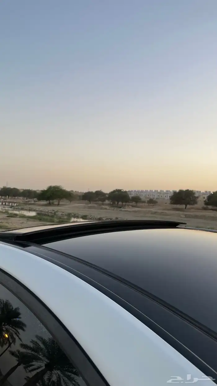 تم البيع 6