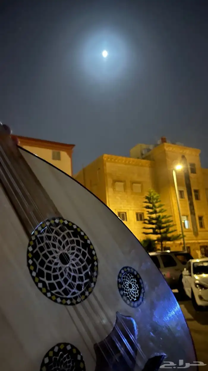 عود مصري 6
