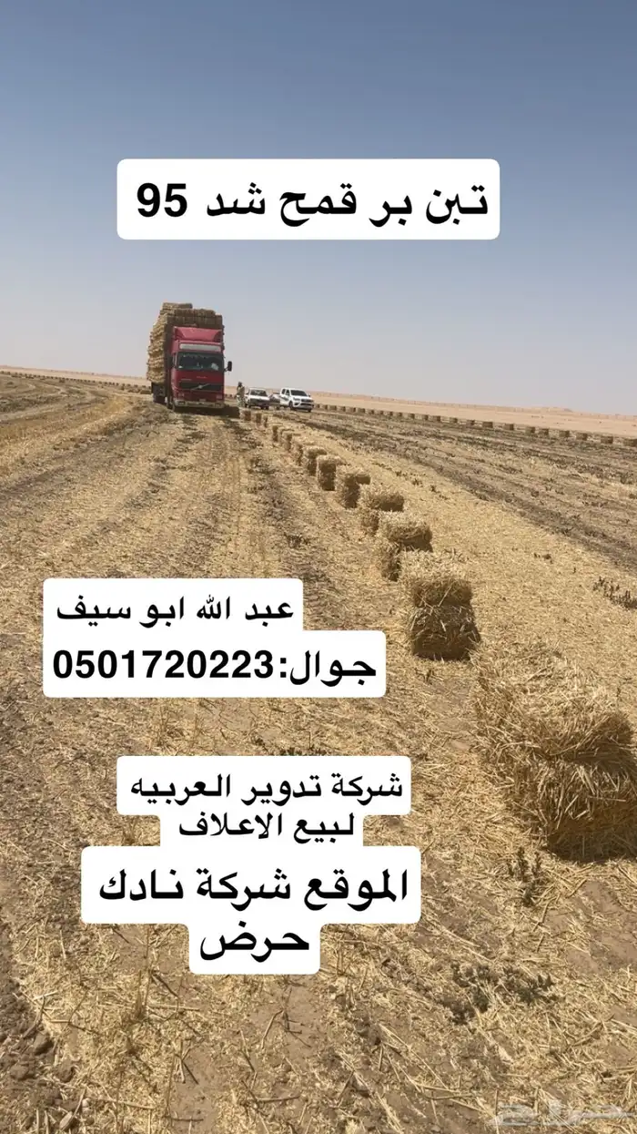 تبن بر شد 95 الموقع نادك حرض 4