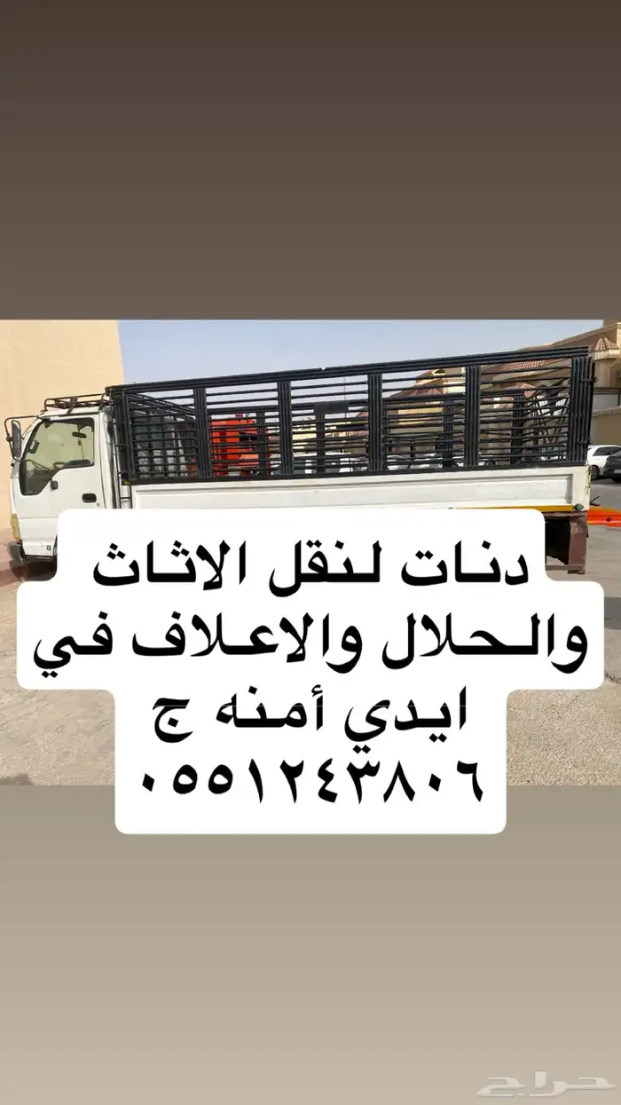 دينا مشاوير. الرياض وضواحيها 0