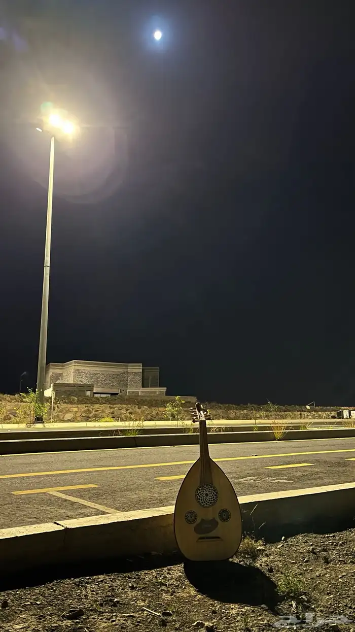 عود مصري 10