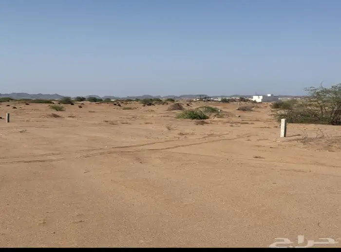 ارض للبيع شمال جده الندي طيبه الفرعيه انا المالك بدون سعي 3
