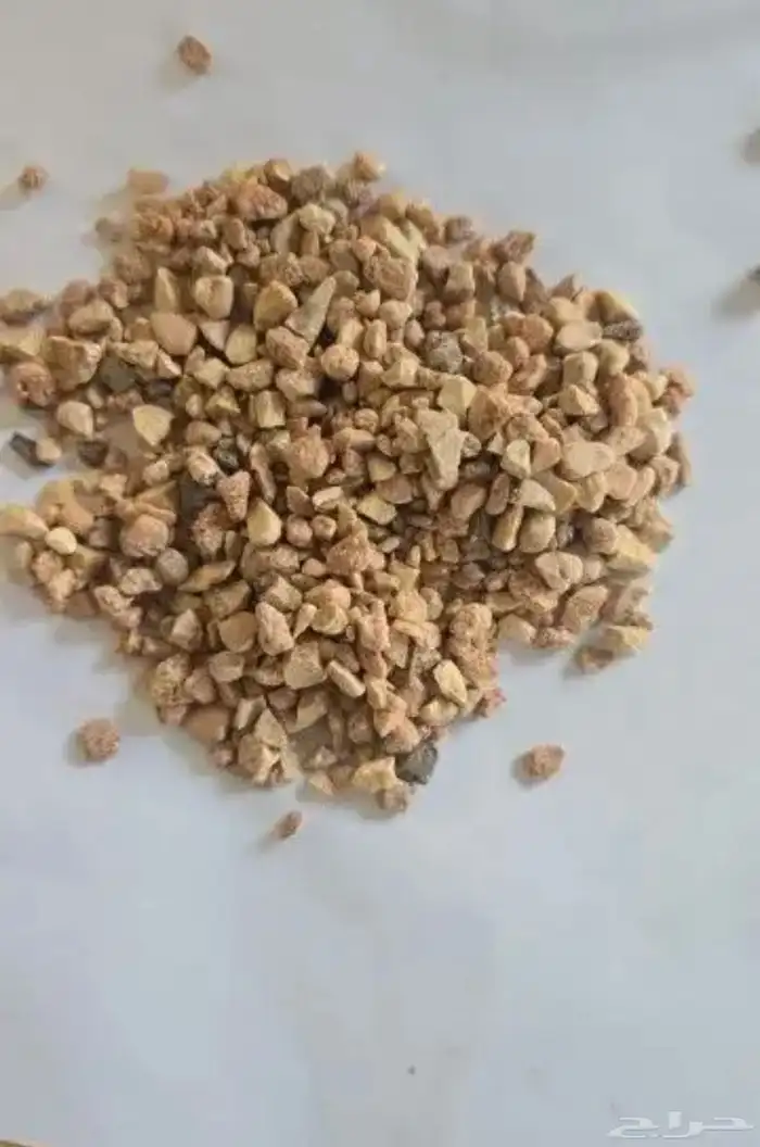 حجر الزينة للمشاريع امالا البحر الاحمر 8