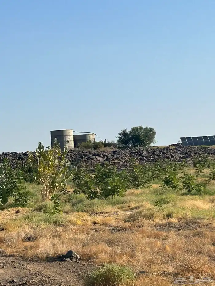 مزرعه للبيع 14