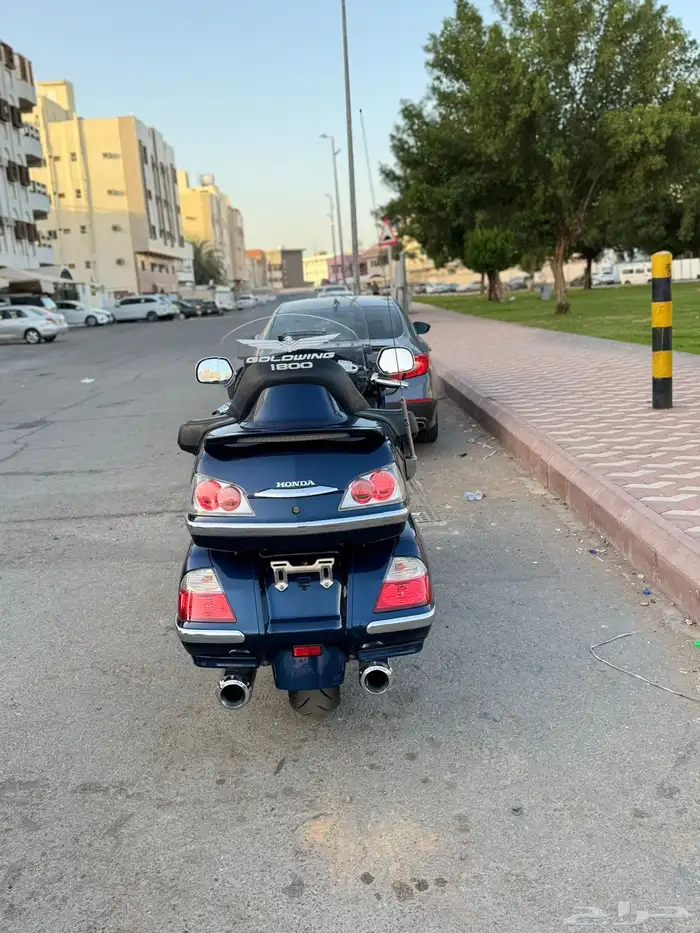قولد وينق 2007 14