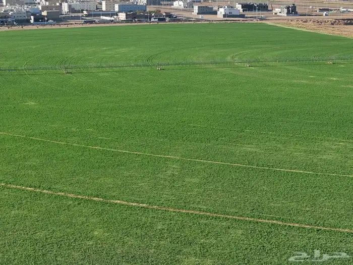 درون احترافي 5k 1