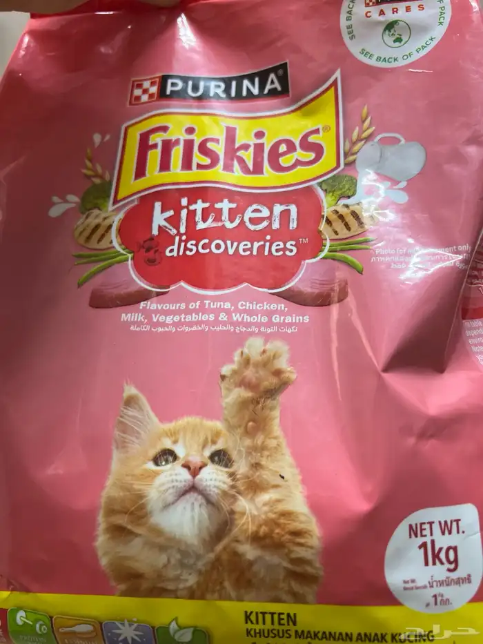 للبيع قطه انثا سكتش 6