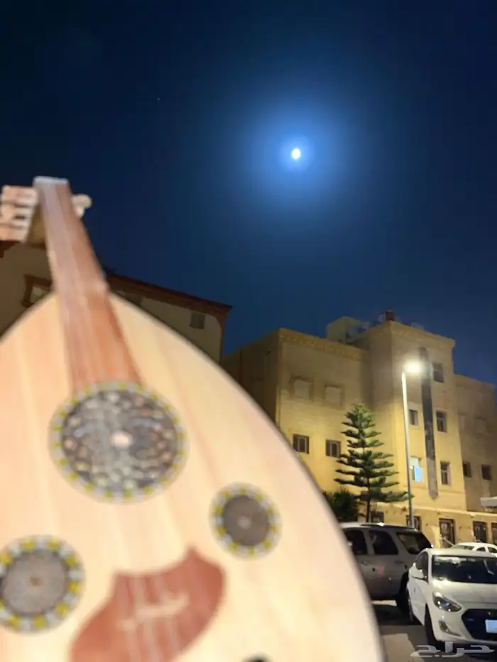 عود مصري 11