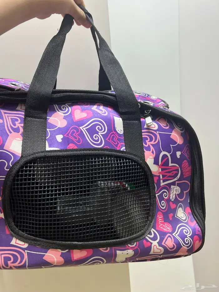 للبيع قطه انثا سكتش 7