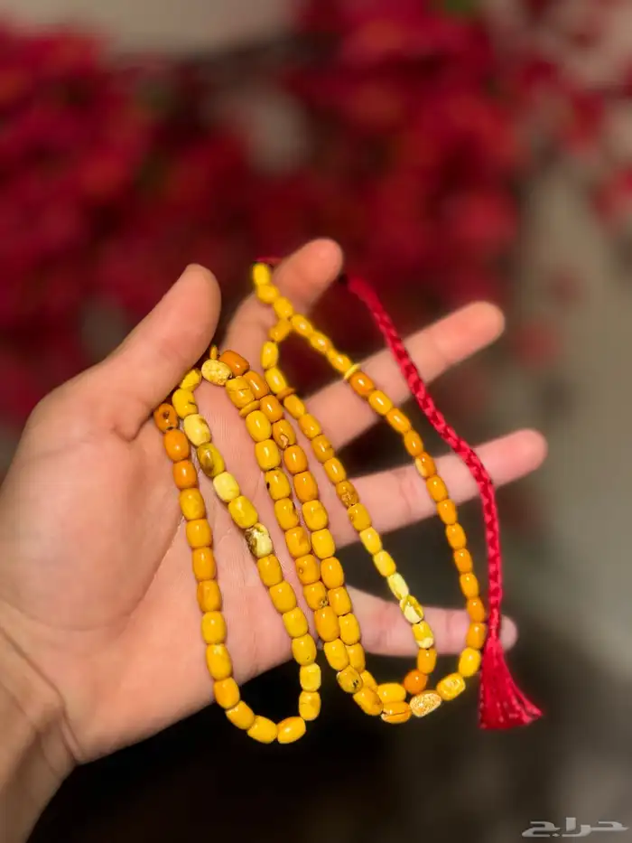 بث مباشر 5