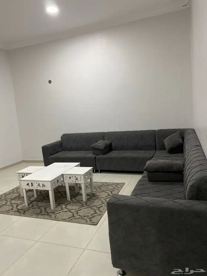 الدانه للفلل المفروشه في الشفا 6