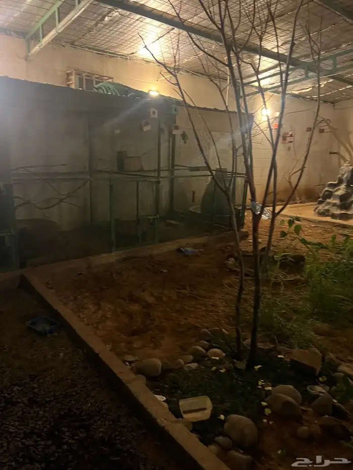 واستراحة للايجار 16