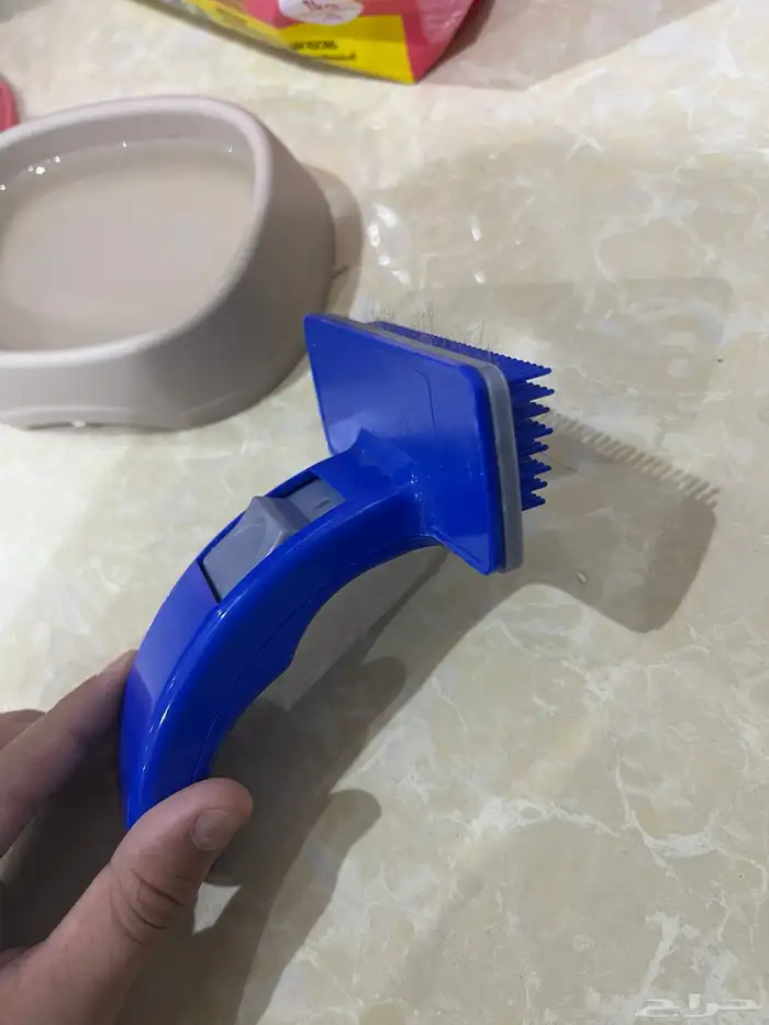 للبيع قطه انثا سكتش 4