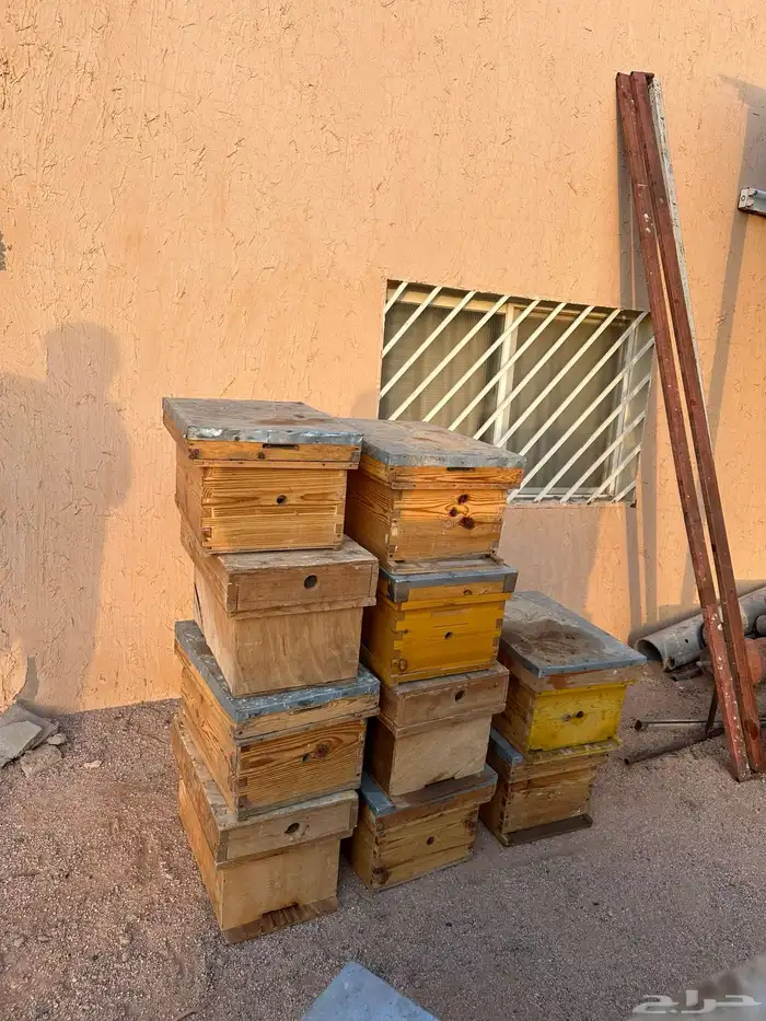 صناديق نحل 0