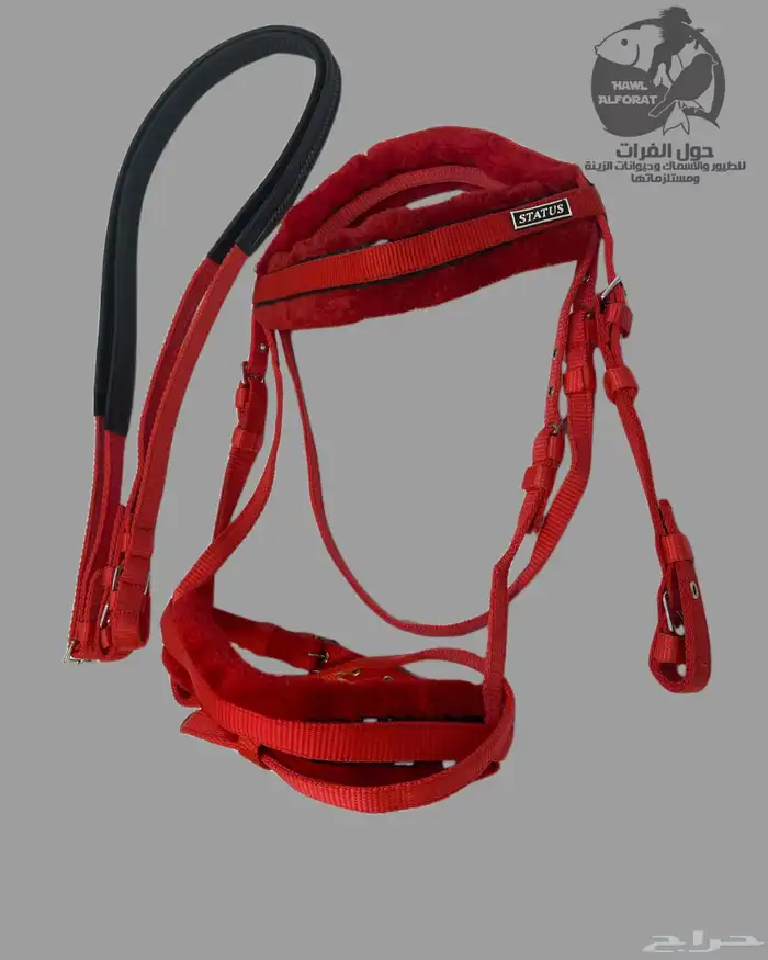 عروض على سرج الخيل و لجام استيتس 3
