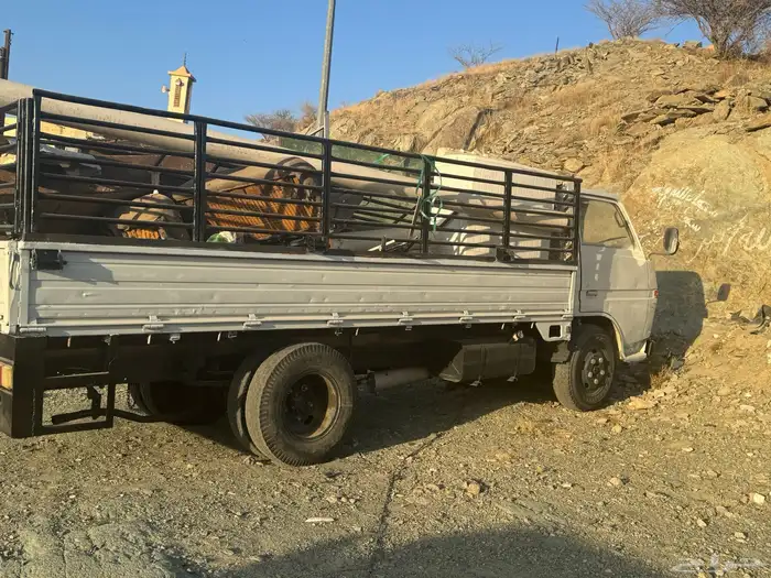 دينا 83 1