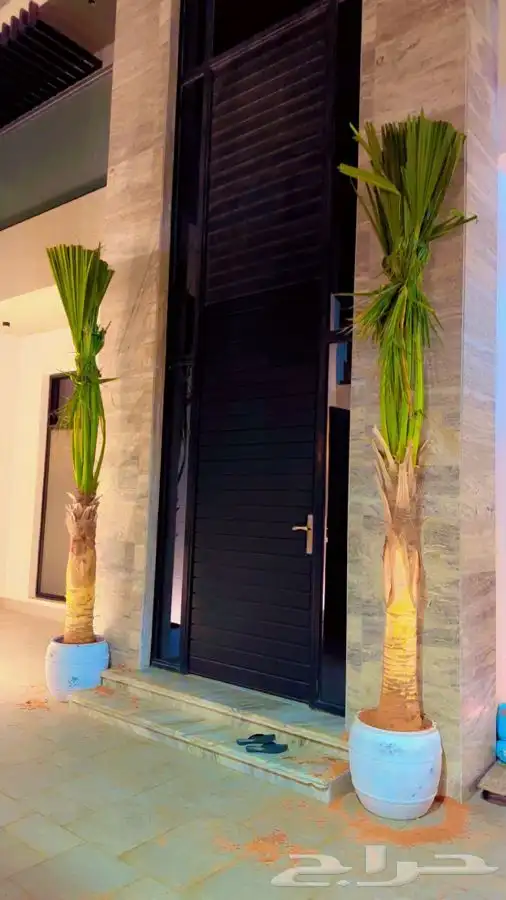 تركيب شبك وزرعه نخل شبوك نخيل سياج 6