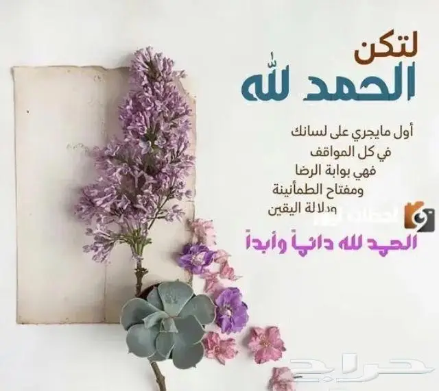 فخامة فضة فاخر ثقيل طقم كامل مستعمل فضة اصلي بختم عيار 36