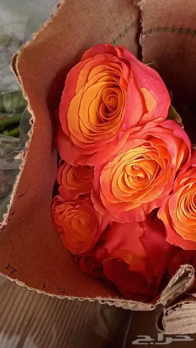 ورد طبيعي بالجملة مع التوصيل 24
