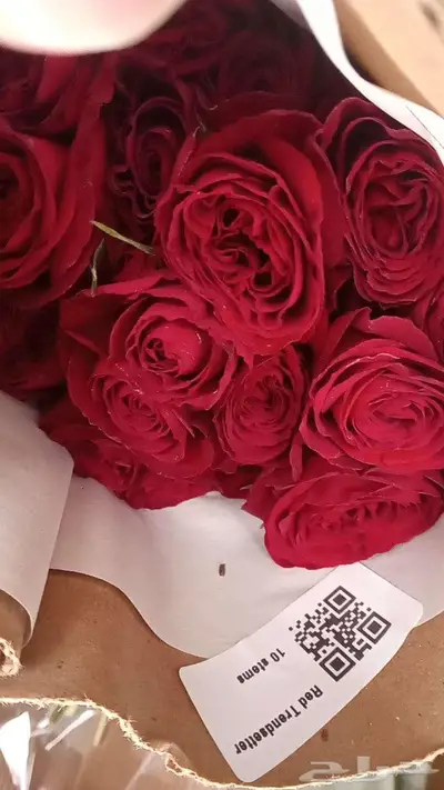 ورد طبيعي بالجملة مع التوصيل 21