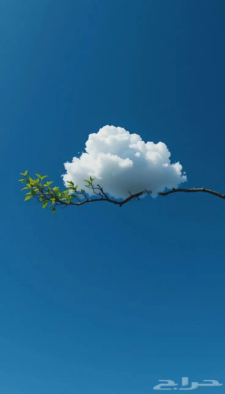 123 0