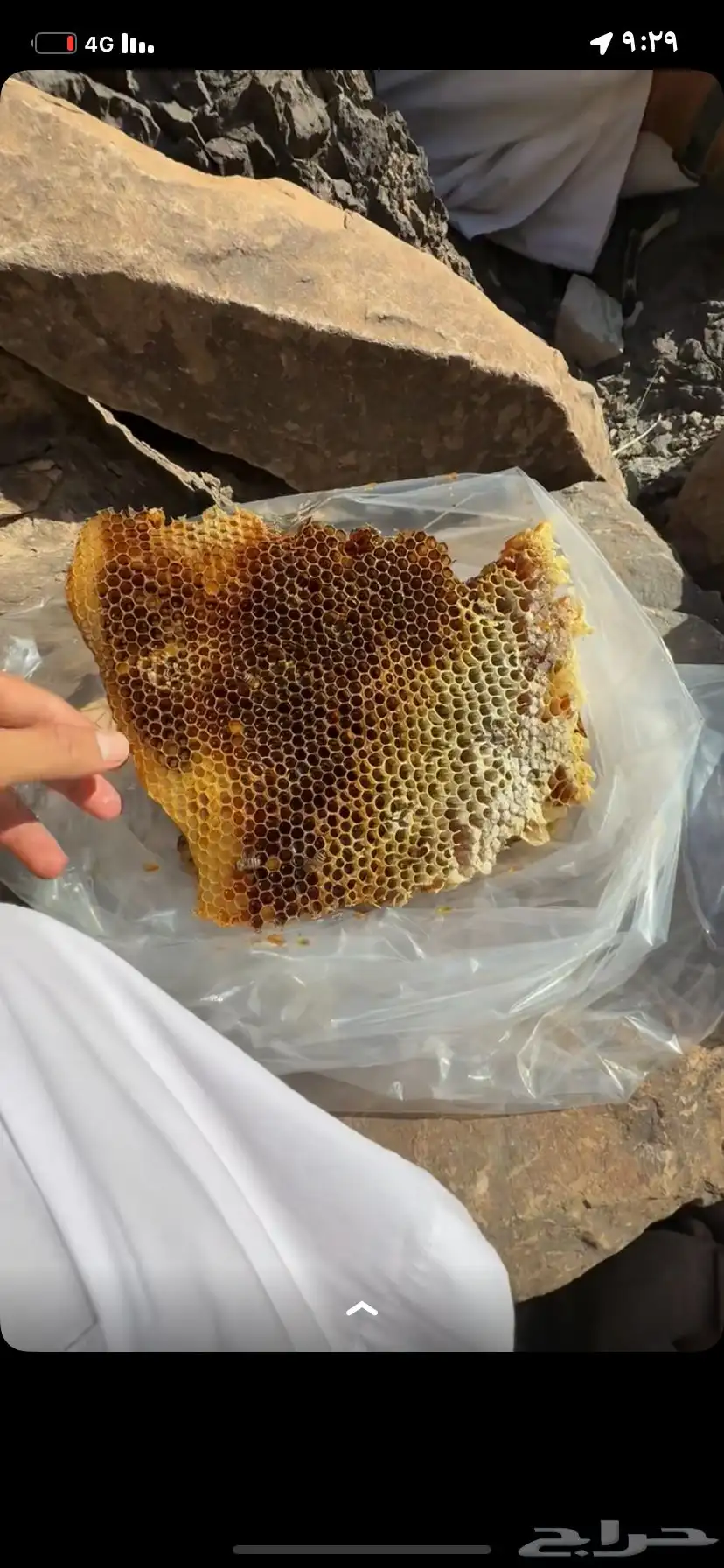 عسل اصلي  جبلي 0