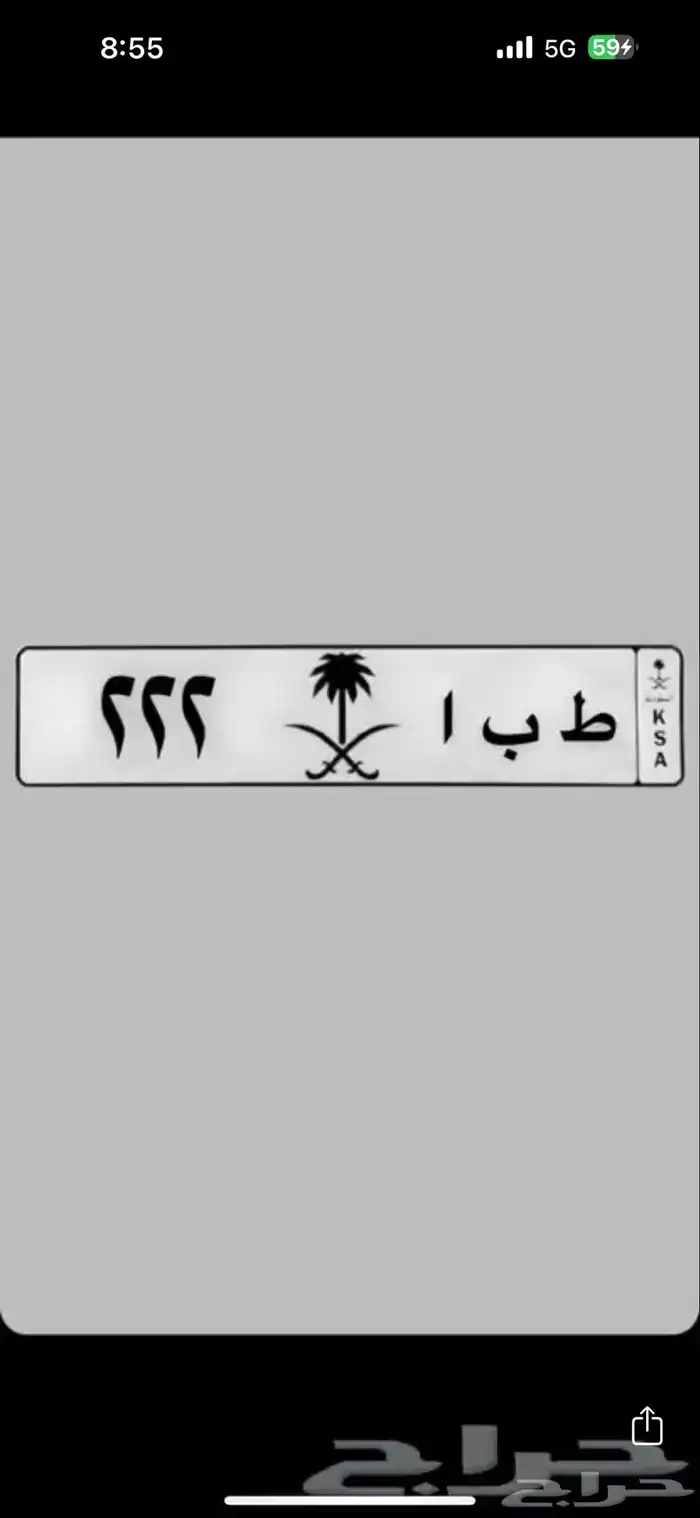 لوحة مميزة للبيع 222 0