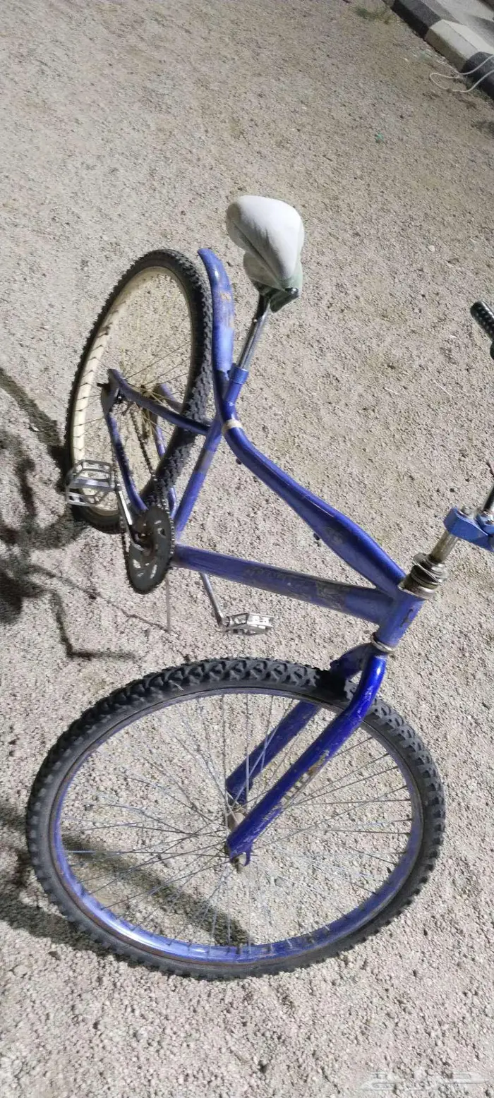 سيكل حجم كبير كوبرا 0