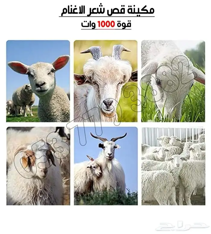 مكينه حلاقه غنم 1000واط 3