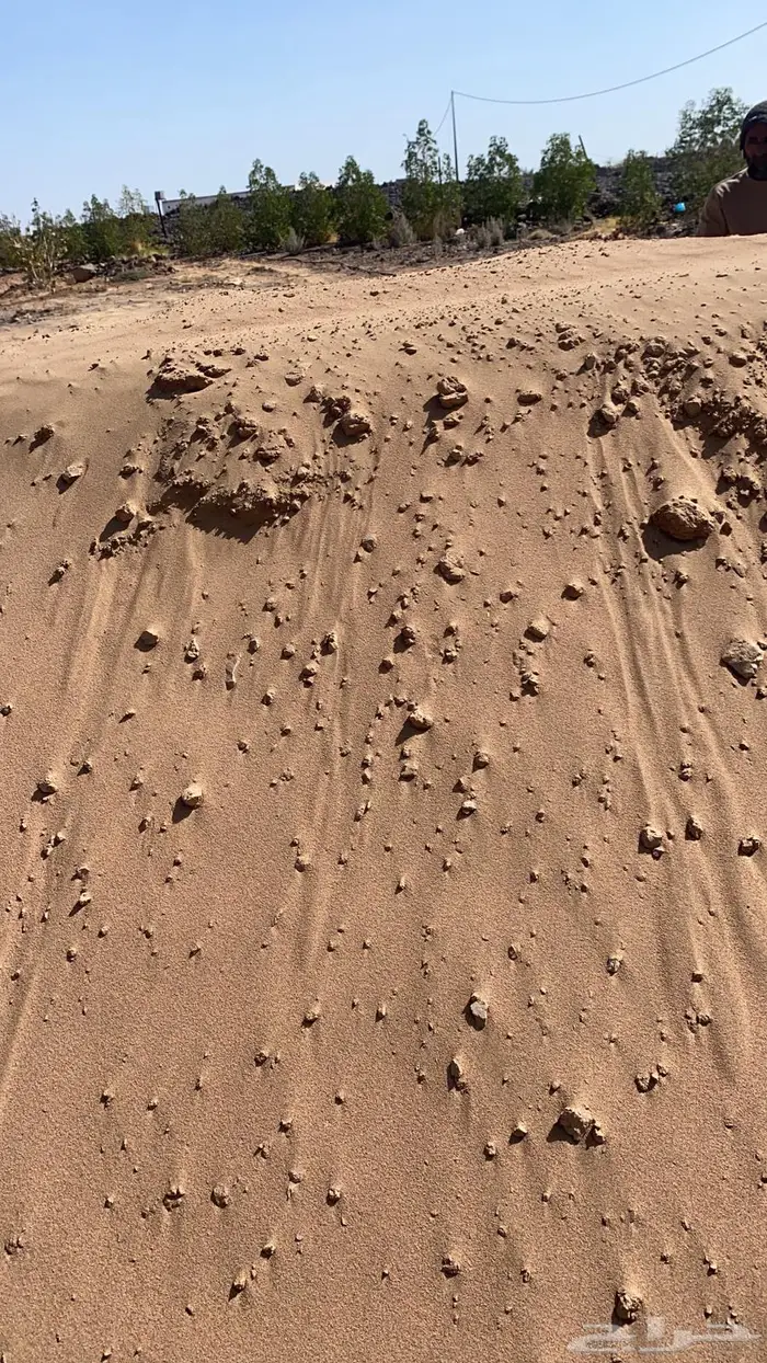 ارض زراعيه بقرية المنجي بمنصه استحكام مساحة الارض 330 الف 0