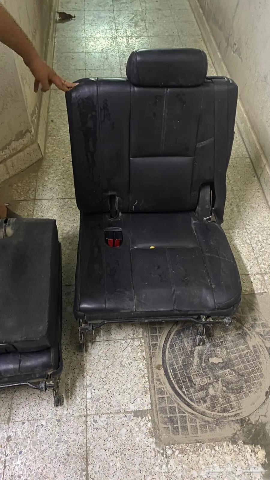 مراتب جلد دينالي يوكن 2