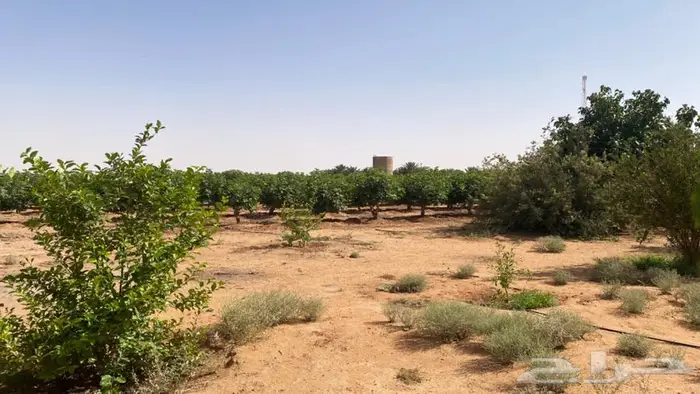 حويرة نساح 5
