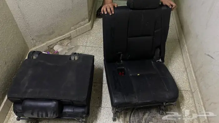 مراتب جلد دينالي يوكن 1