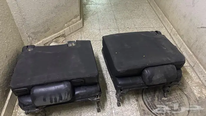 مراتب جلد دينالي يوكن 3