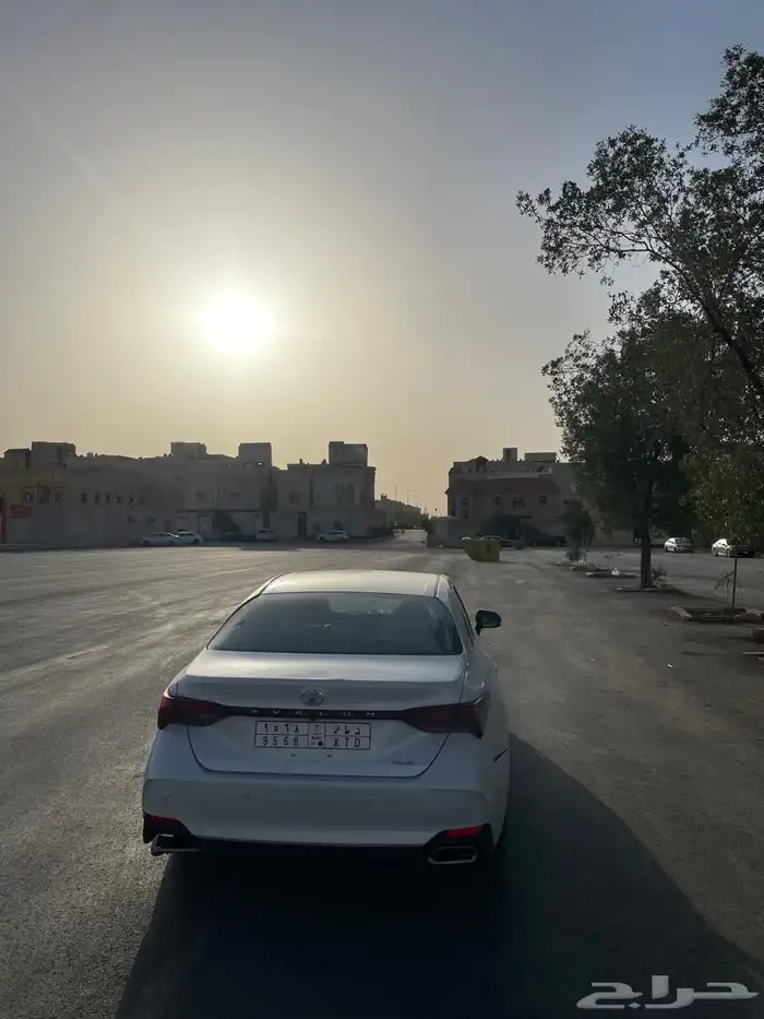 افلون 2019 4