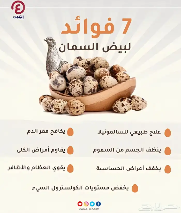 سمان و بيض للبيع 1