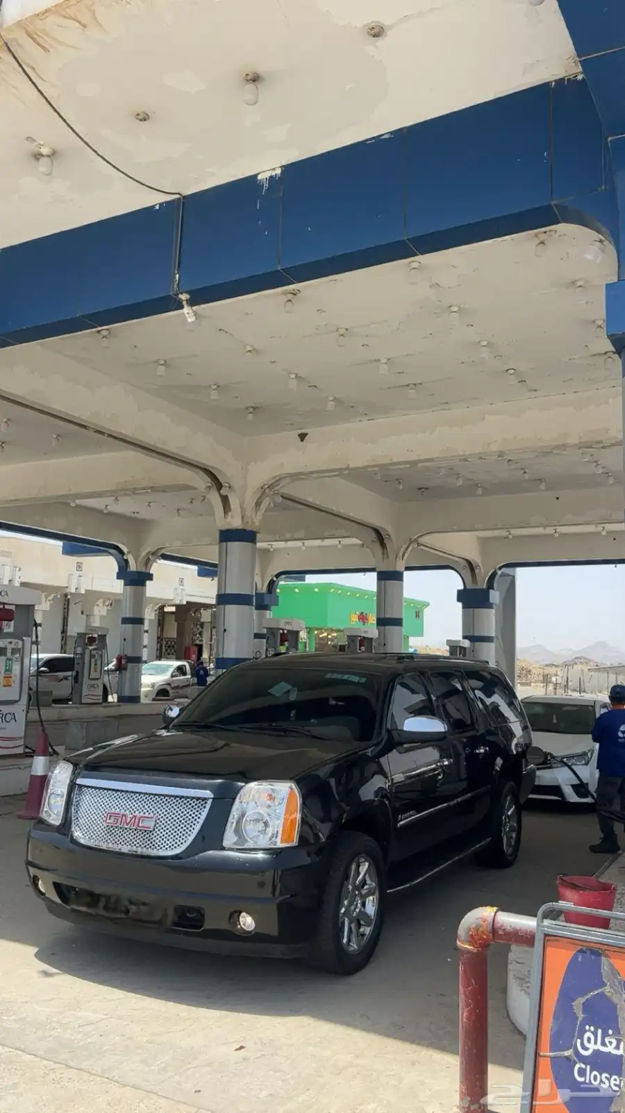 دينالي XL 2009 0
