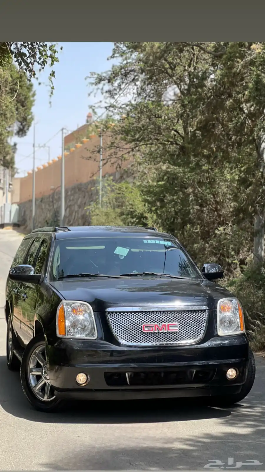 دينالي XL 2009 2