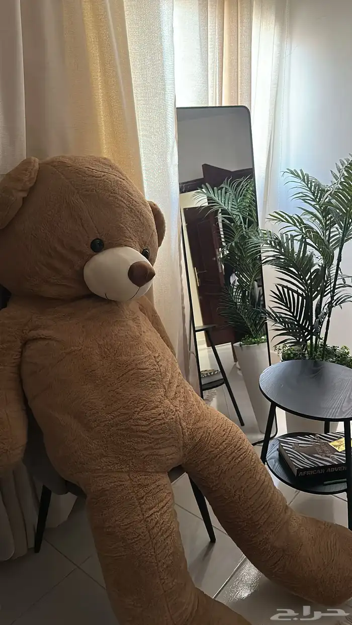 دبدوب من فلاورد للبيع 0