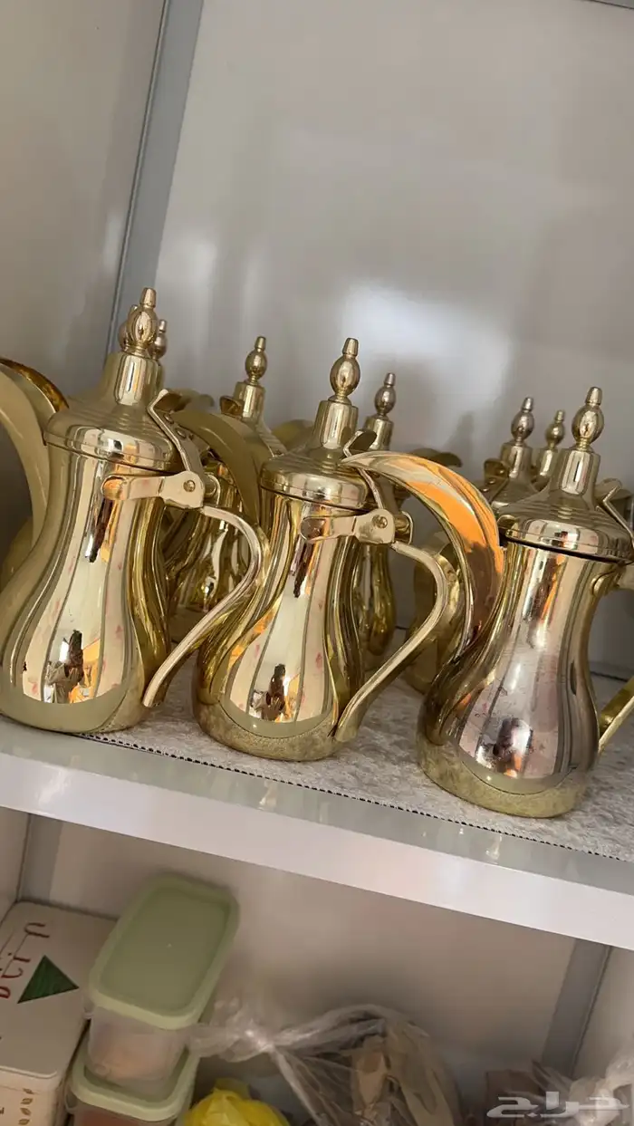 مجالس ومخيمات 32
