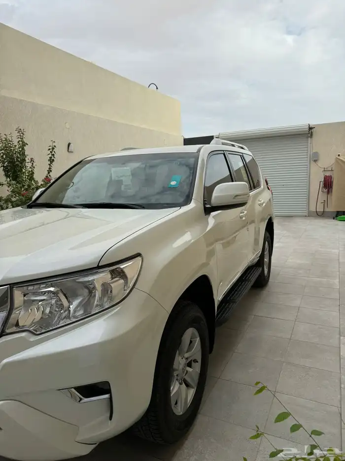 برادو 2023 0