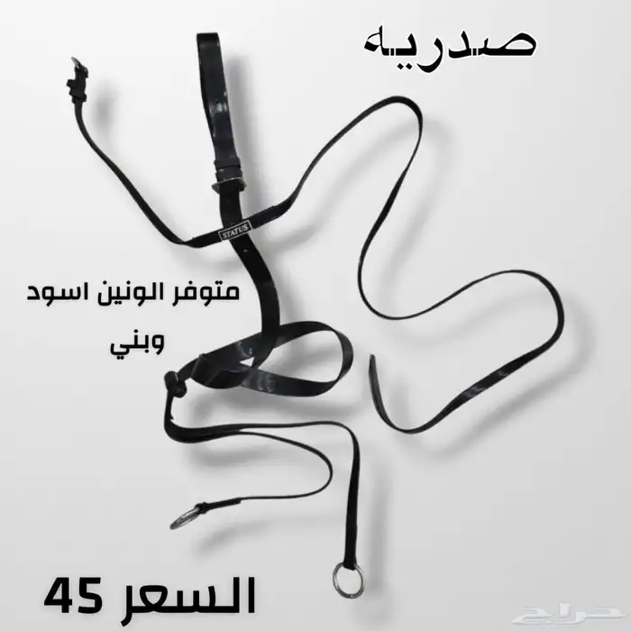 مستلزمات خيل 2