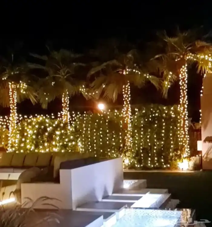 ايجار اضواء بوابة افتتاح تأجير ادوات افتتاح محلات حفلات 15