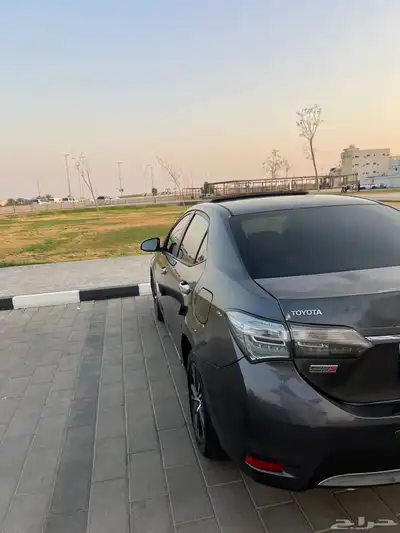 كورلا 2019 3