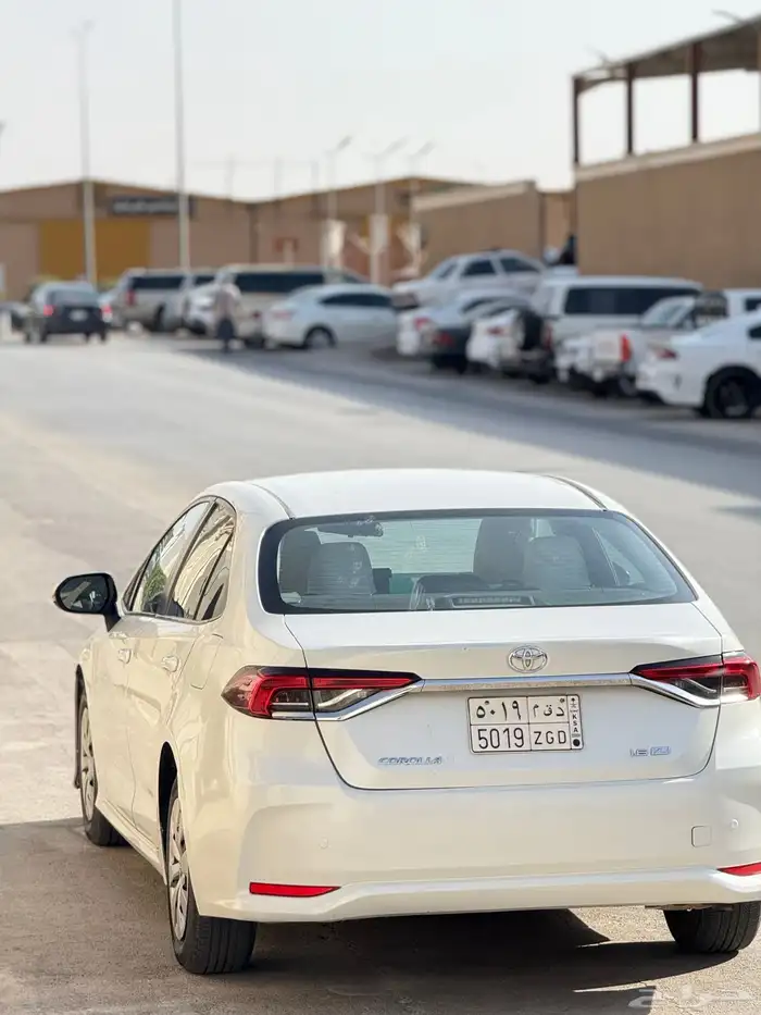 كورلاء 2020 9