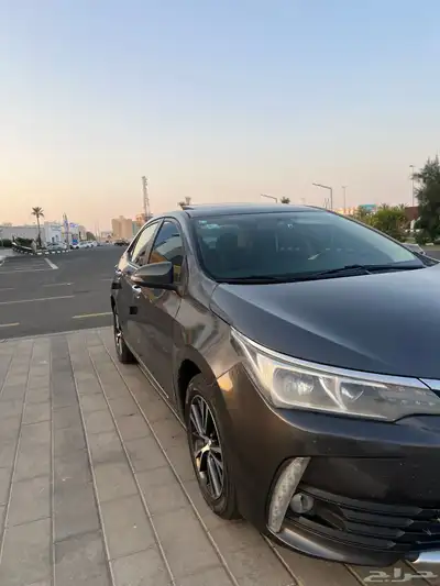 كورلا 2019 0