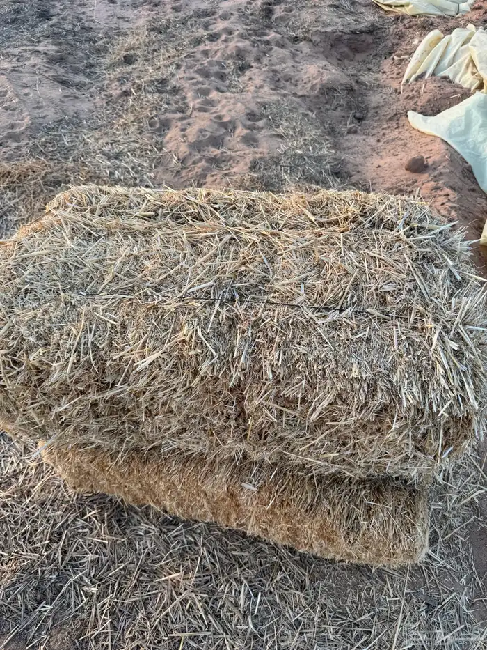 تبن قمح ( بر ) شد طيب ناعم حويل مغطى 1