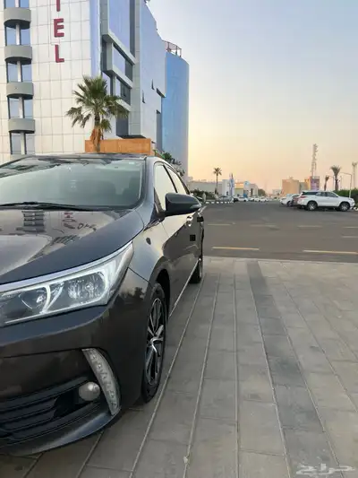 كورلا 2019 1