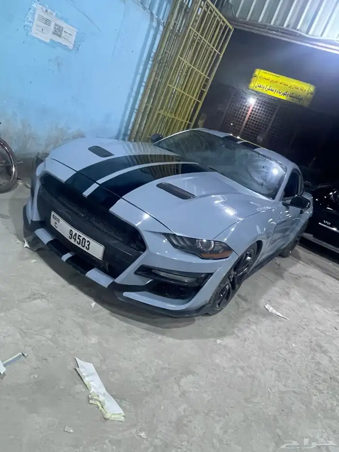 رش مطاطي رش تجميلي جميع انواع السيارات رش مطفي 2